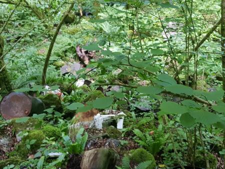 Sanacija črnega odlagališča – Banova jama 040